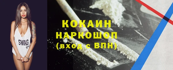 ПСИЛОЦИБИНОВЫЕ ГРИБЫ Вязники
