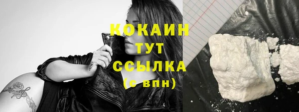 эйфоретик Вяземский