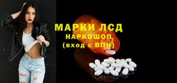 ПСИЛОЦИБИНОВЫЕ ГРИБЫ Вязники