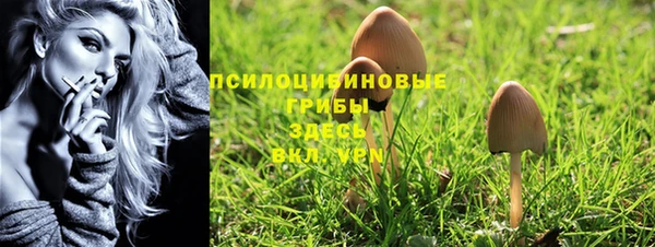 эйфоретик Вяземский