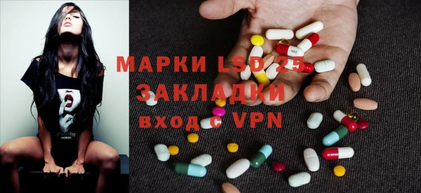 ПСИЛОЦИБИНОВЫЕ ГРИБЫ Вязники