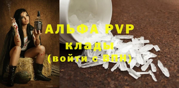 эйфоретик Вяземский