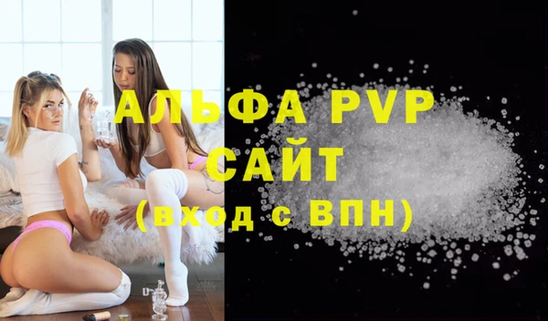 эйфоретик Вяземский