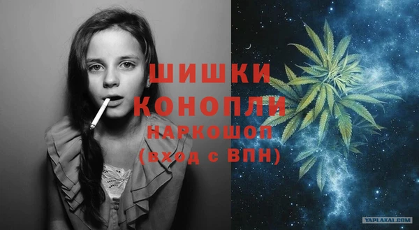 ПСИЛОЦИБИНОВЫЕ ГРИБЫ Вязники