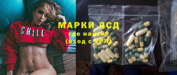 ПСИЛОЦИБИНОВЫЕ ГРИБЫ Вязники