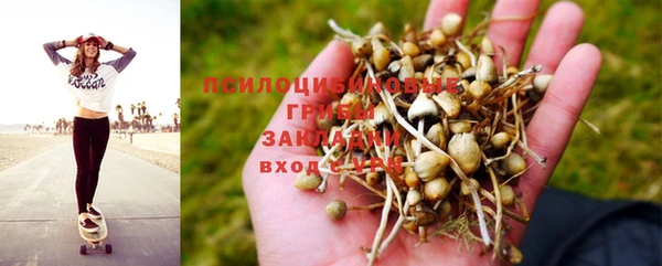 прущие крисы Вязьма