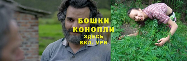 эйфоретик Вяземский
