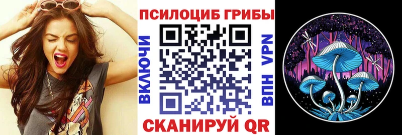 МЕГА   Разумное  Псилоцибиновые грибы Cubensis  даркнет сайт 
